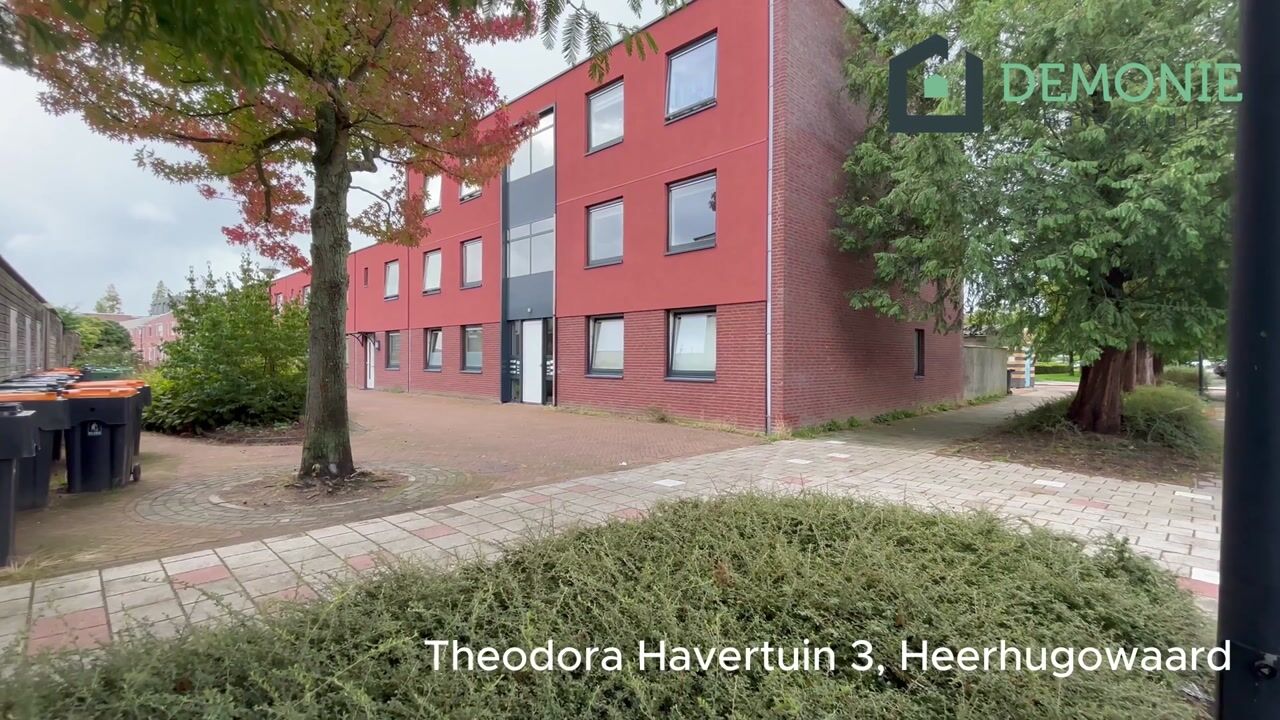 Video van Theodora Havertuin 3