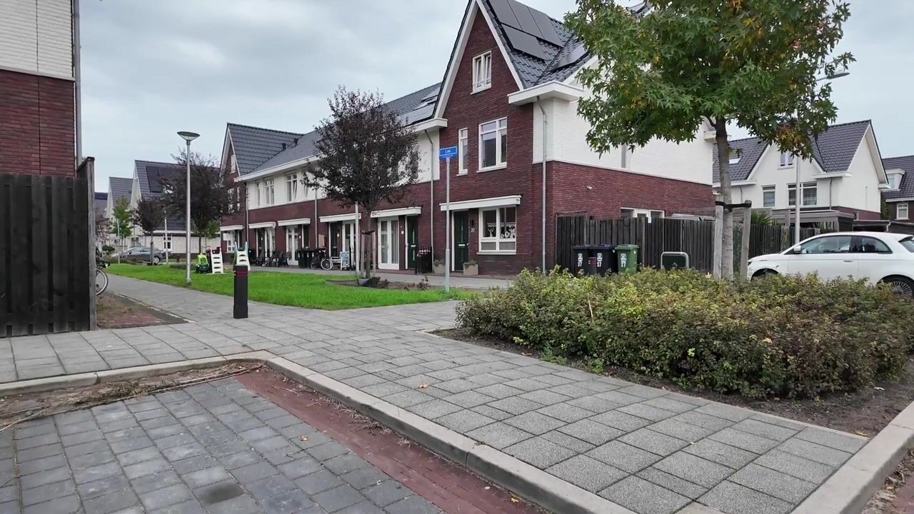 Video van Loo 25