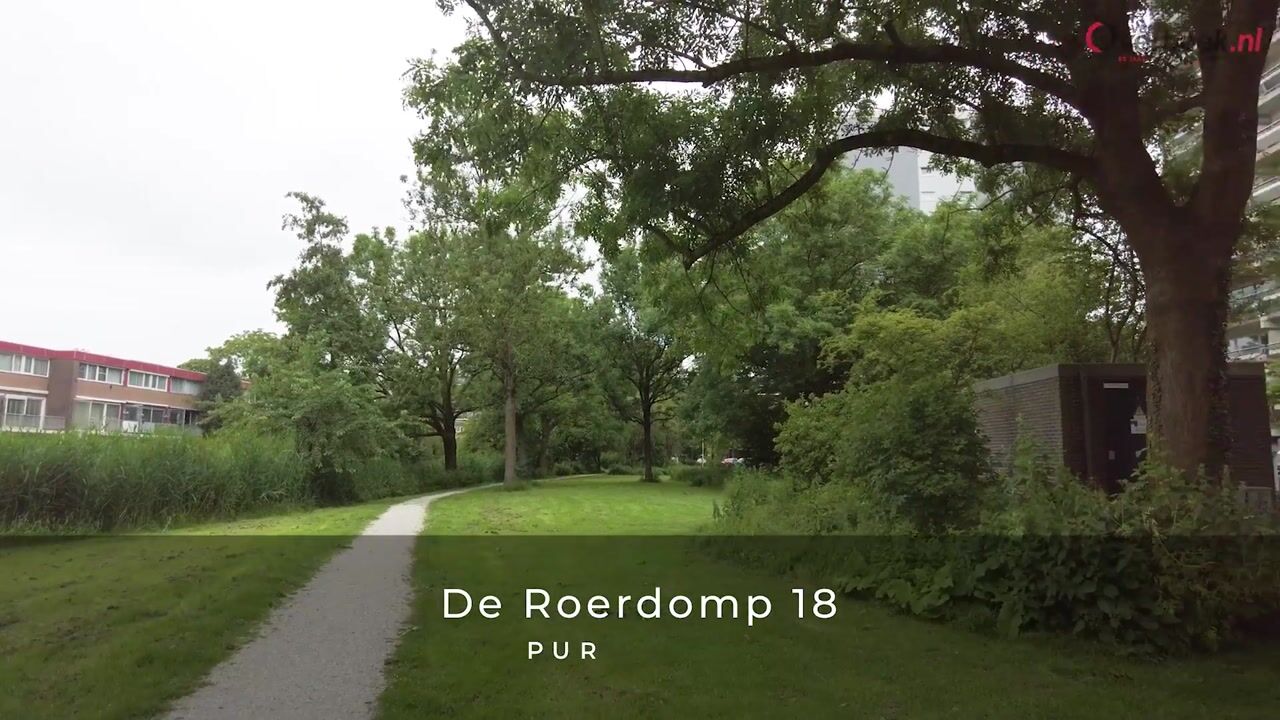 Video of De Roerdomp 18