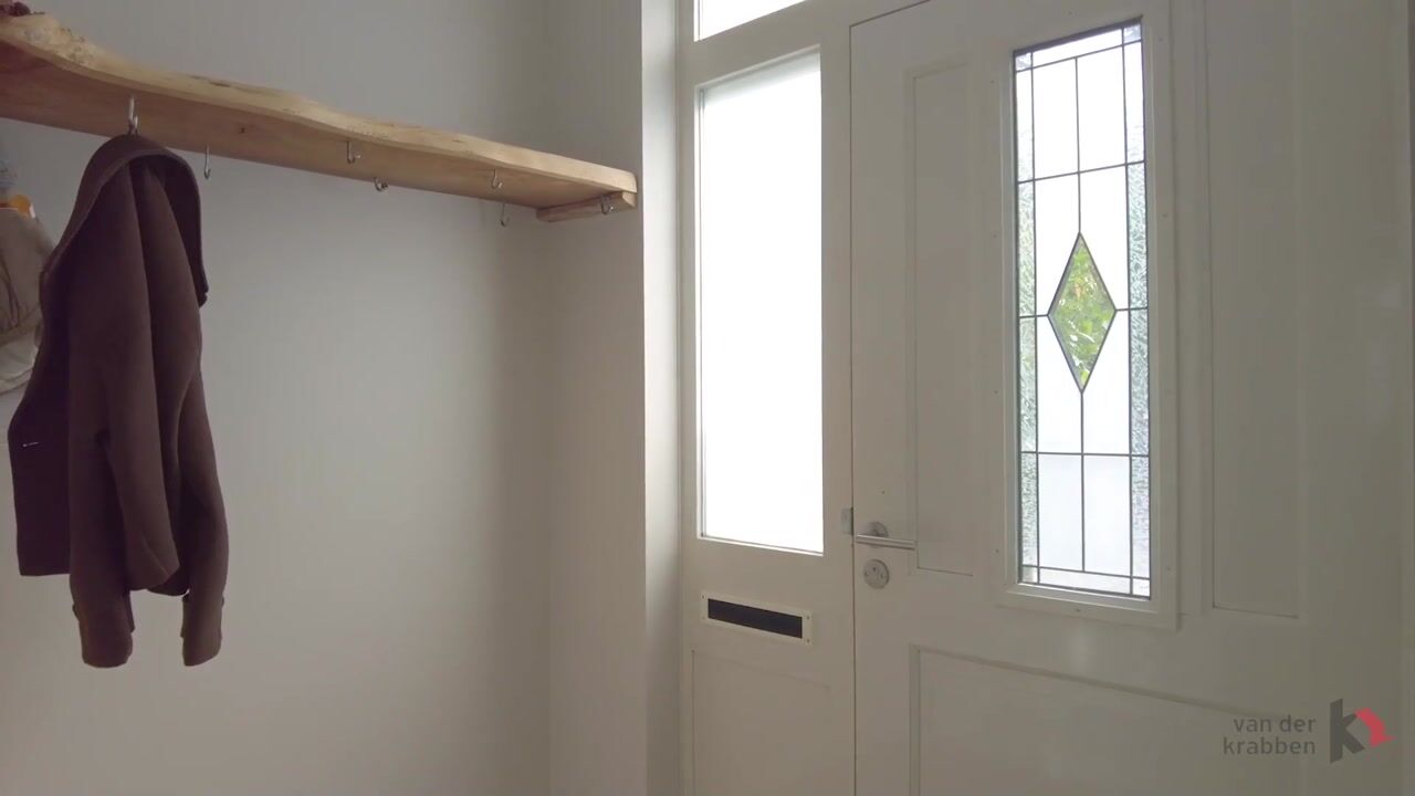 Video of Bosveld 401