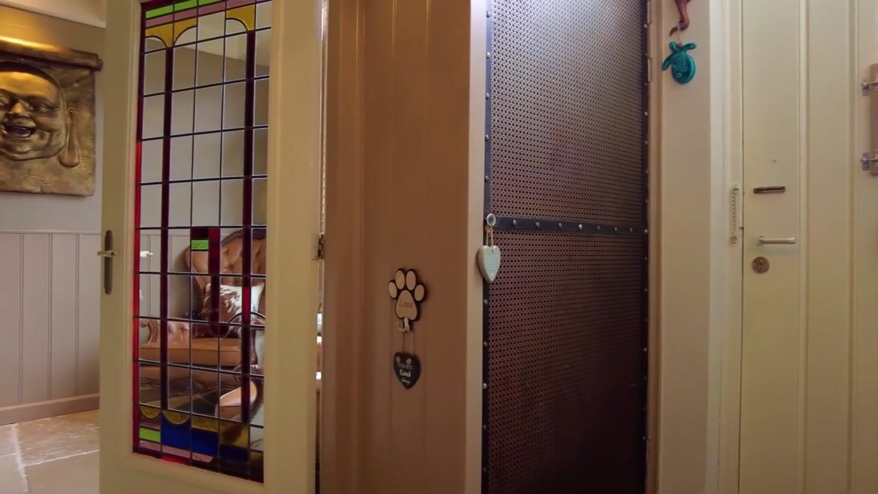Video van Hoefstraat 152