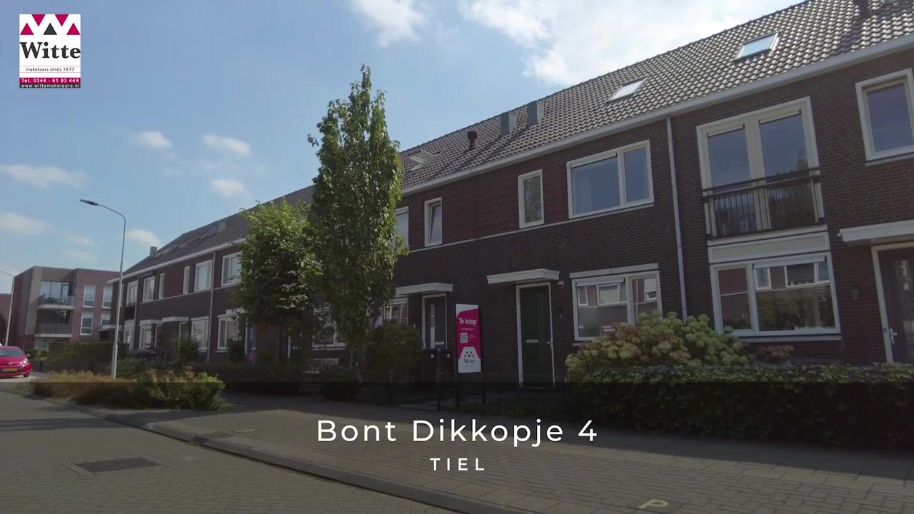 Video van Bont Dikkopje 4