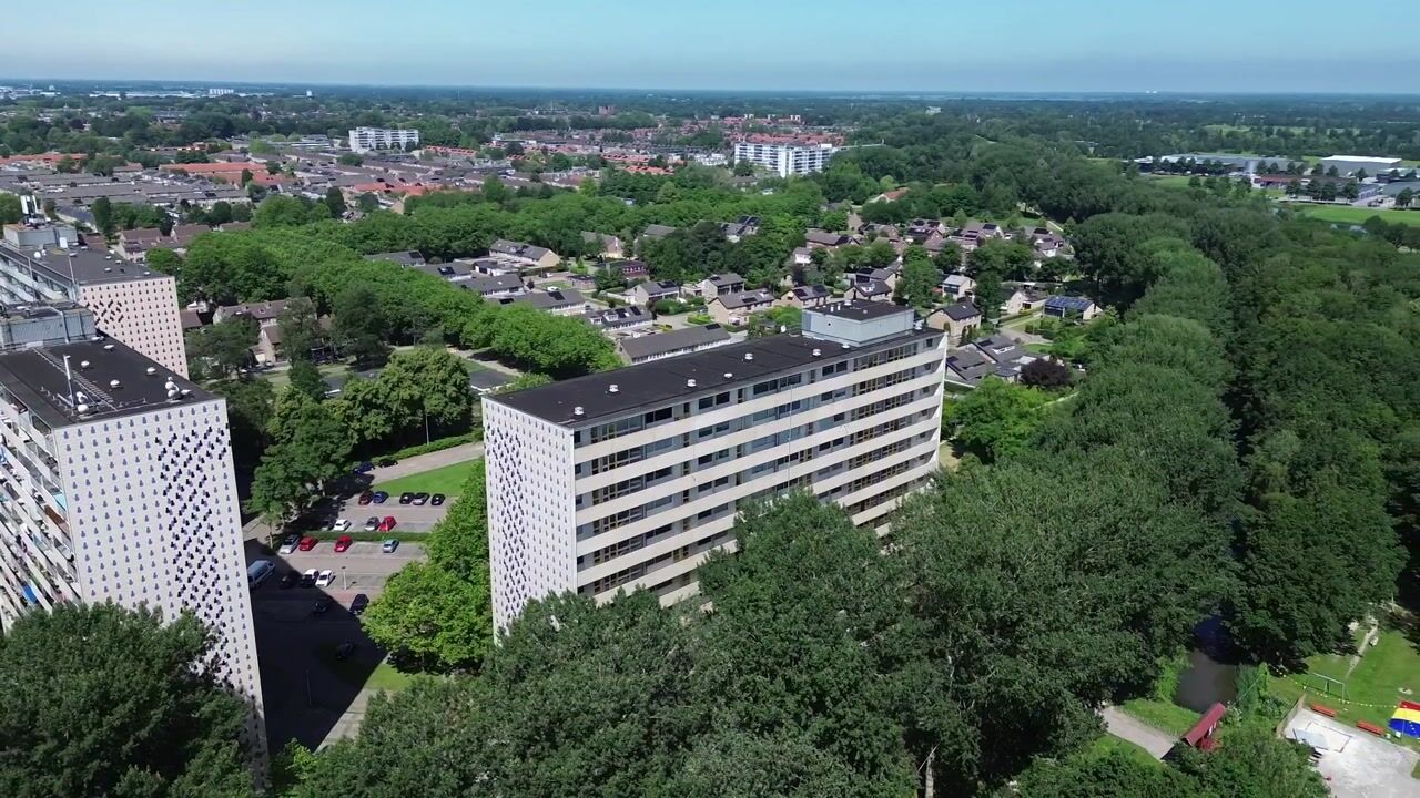 Video van Tjaarda 292
