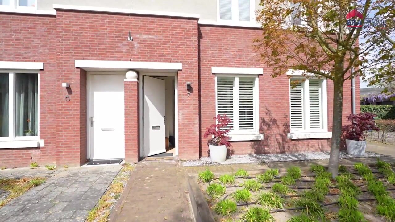Video van Swanegat 7
