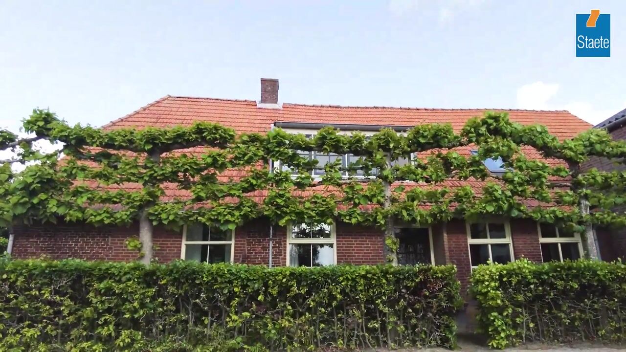 Video van Haarsteegsestraat 35