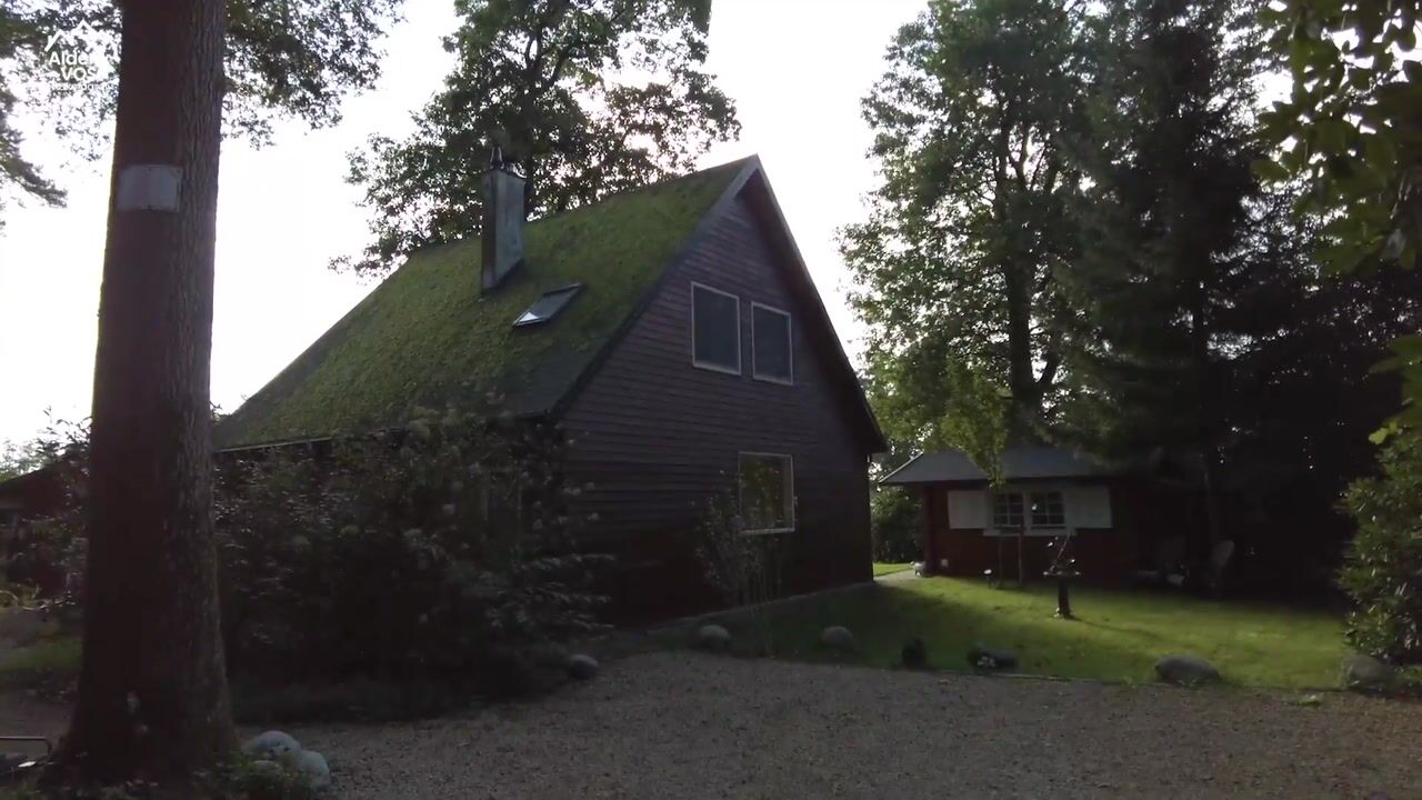 Video van Bungalowpark 43