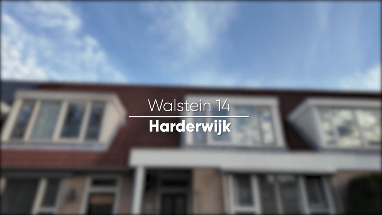 Video of Walstein 14
