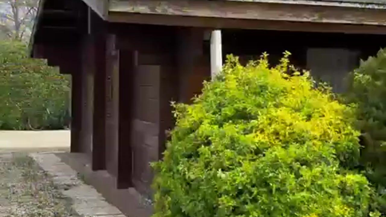 Video van Diefdijk 21