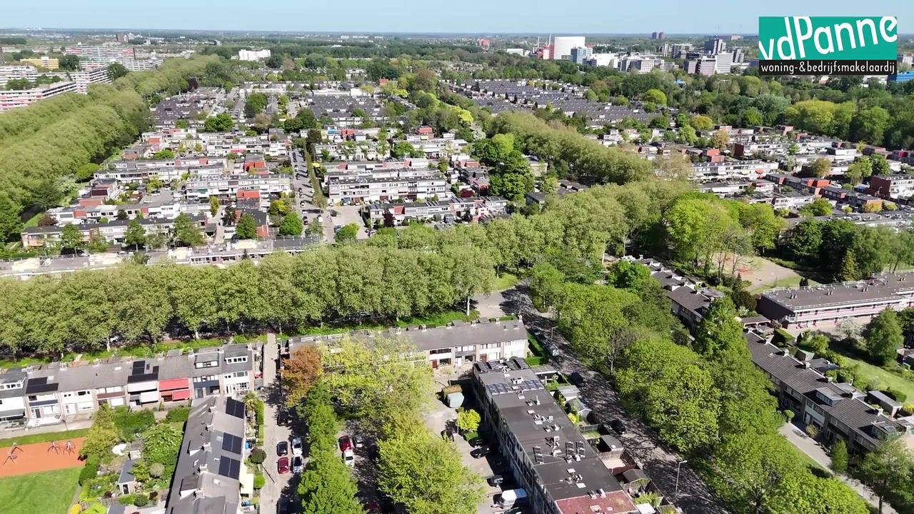 Video van Trompetbloem 18