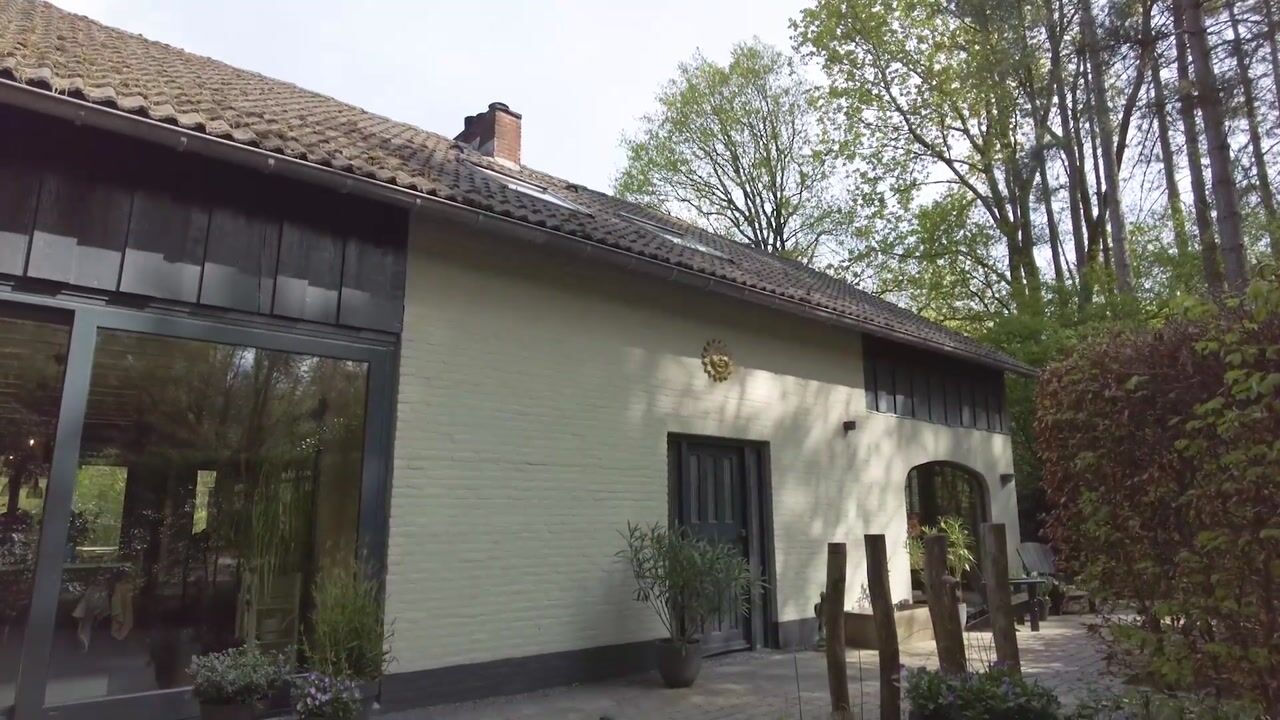 Video of Zuidgeest 1-A