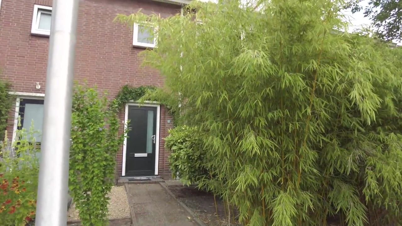 Video van Ananasstraat 12