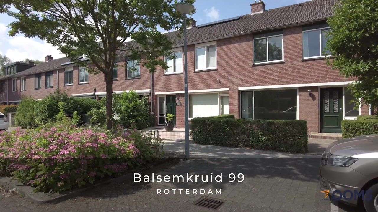 Video van Balsemkruid 99