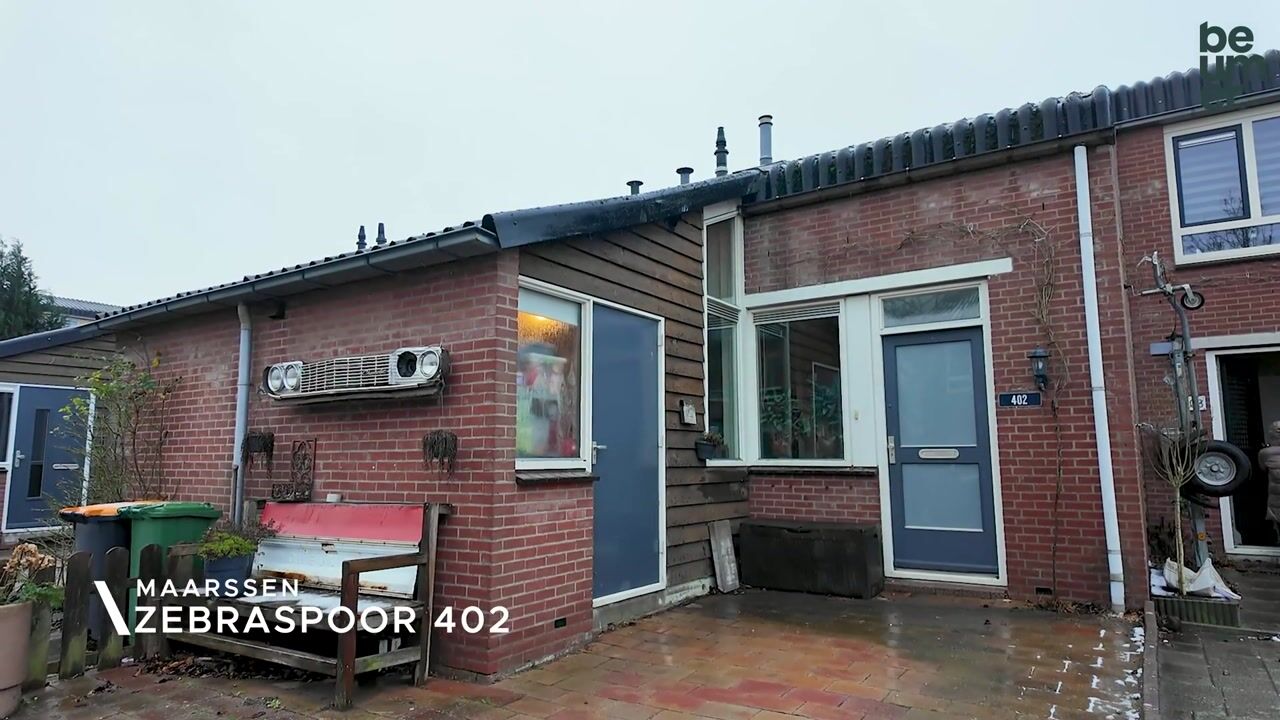 Video van Zebraspoor 402