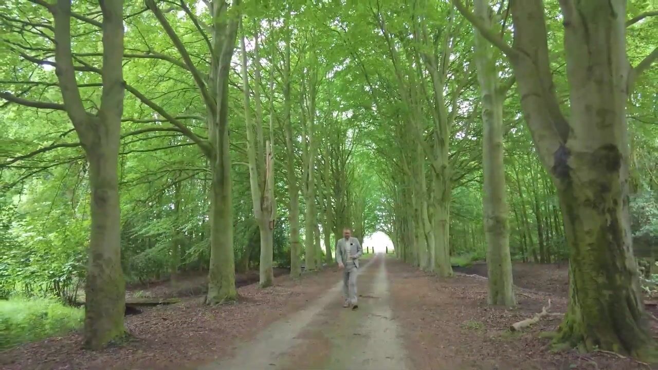 Video of Rijksweg West 65