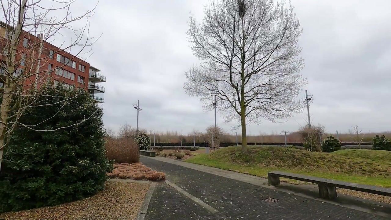 Video van Adigestroom 62