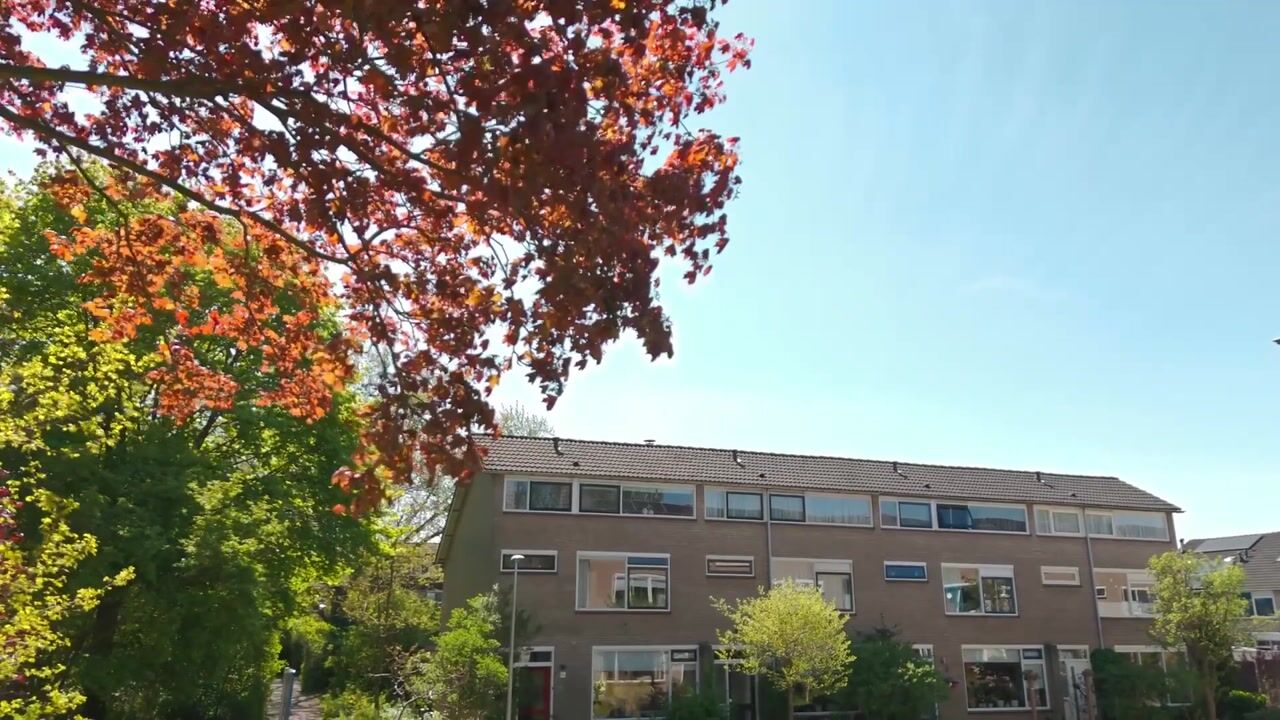 Video van Stuurmanstraat 8