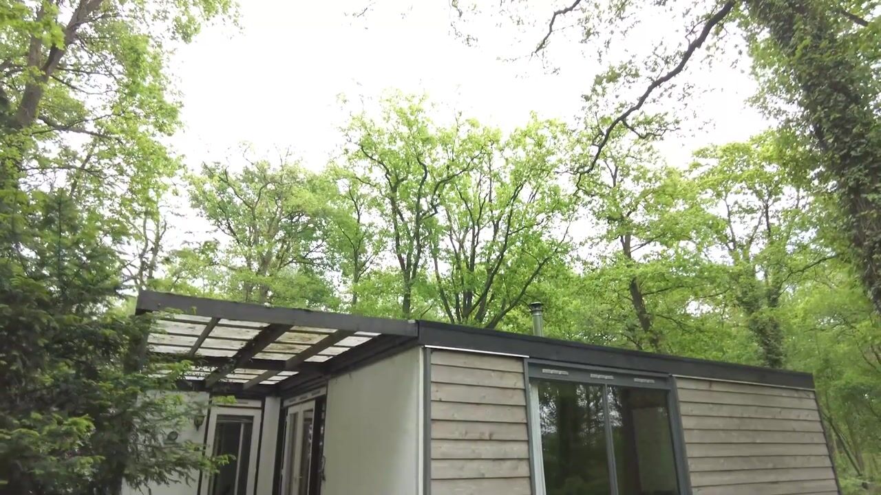 Video of Het Nieuwe Schelver 7