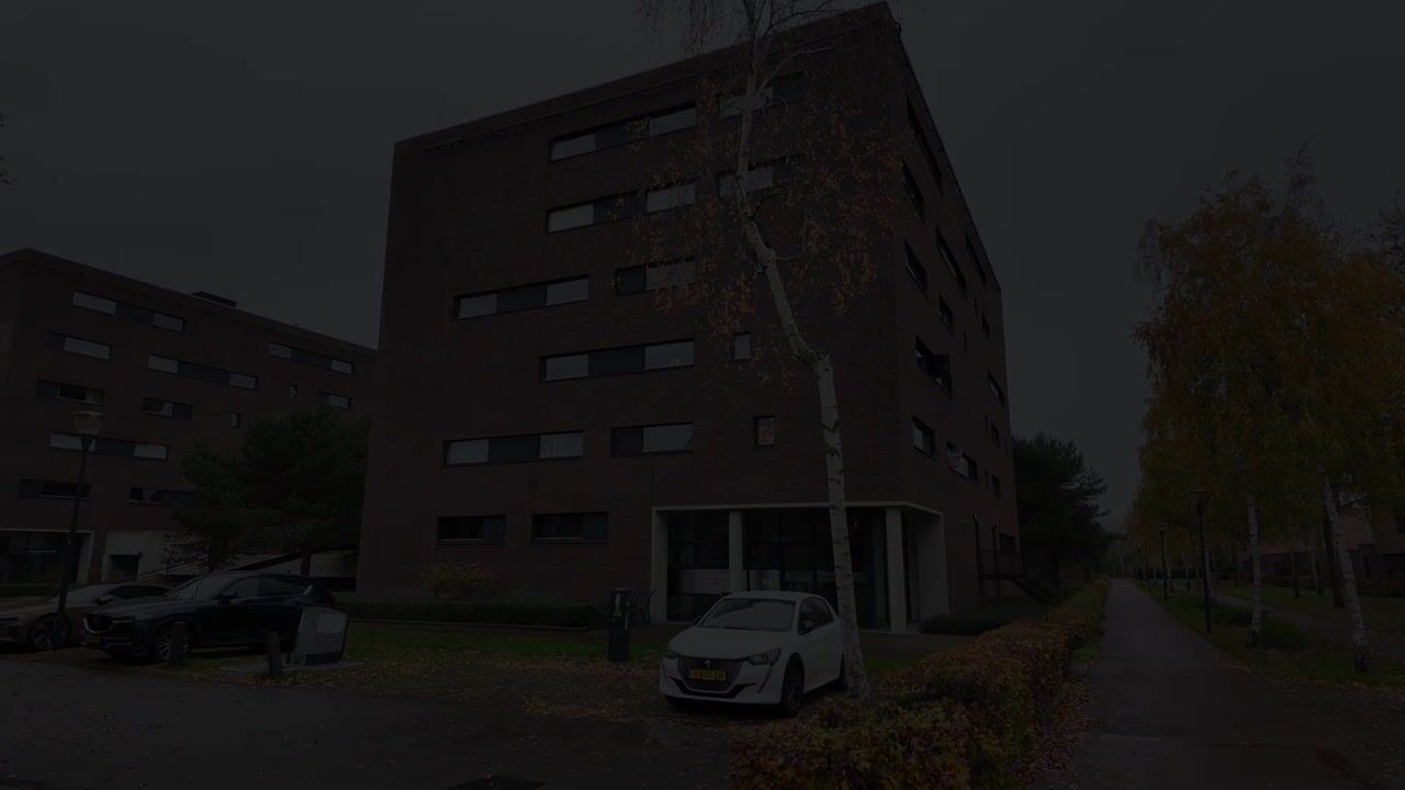 Video of Zandbloem 165