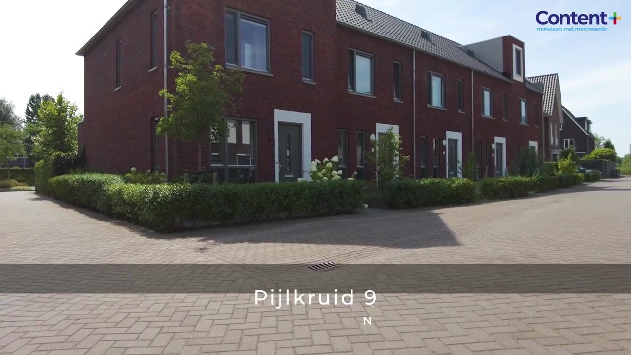 Video van Pijlkruid 9
