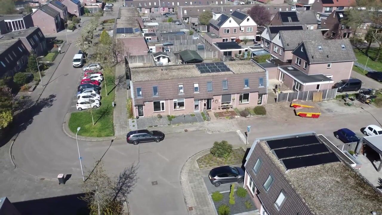 Video van De Ibis 4