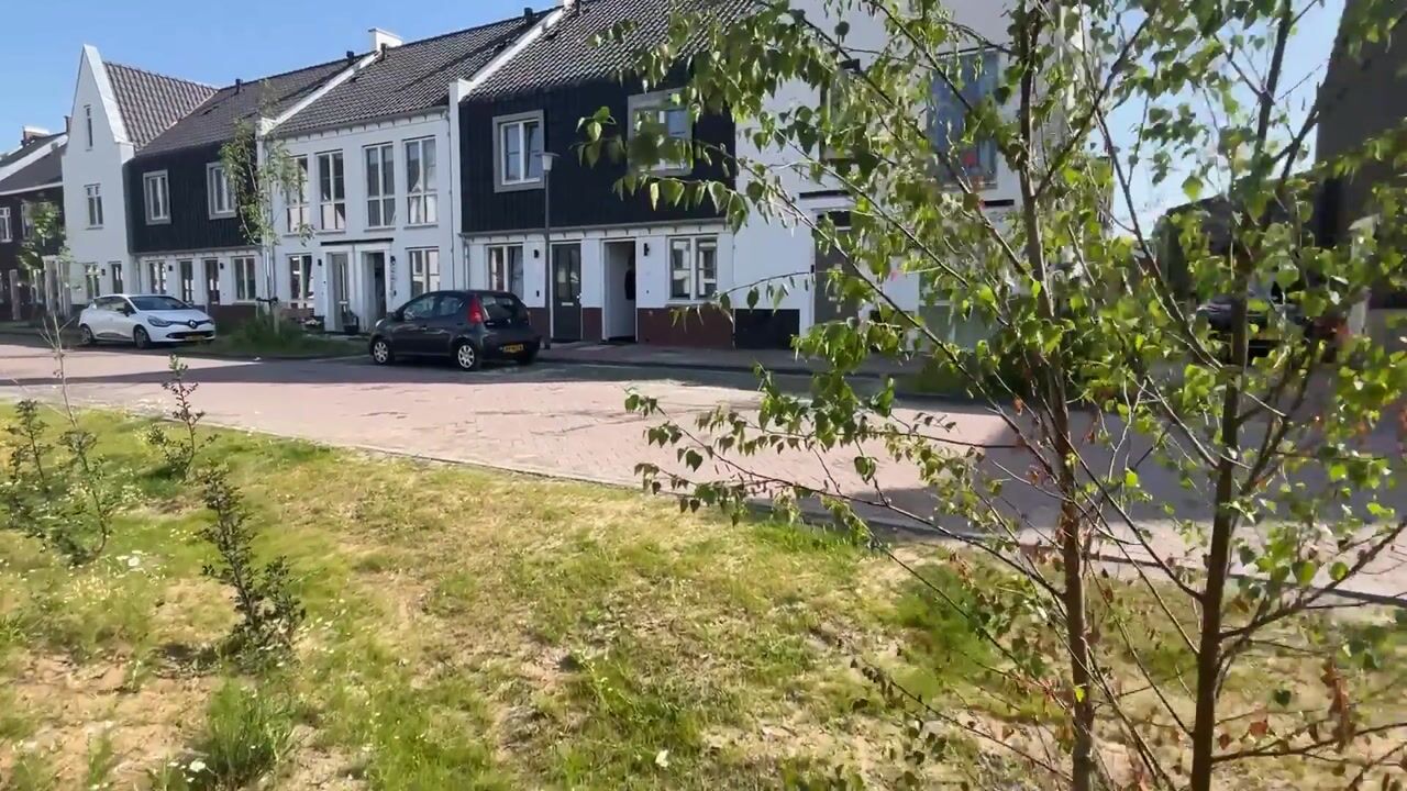 Video van Timmerman 23