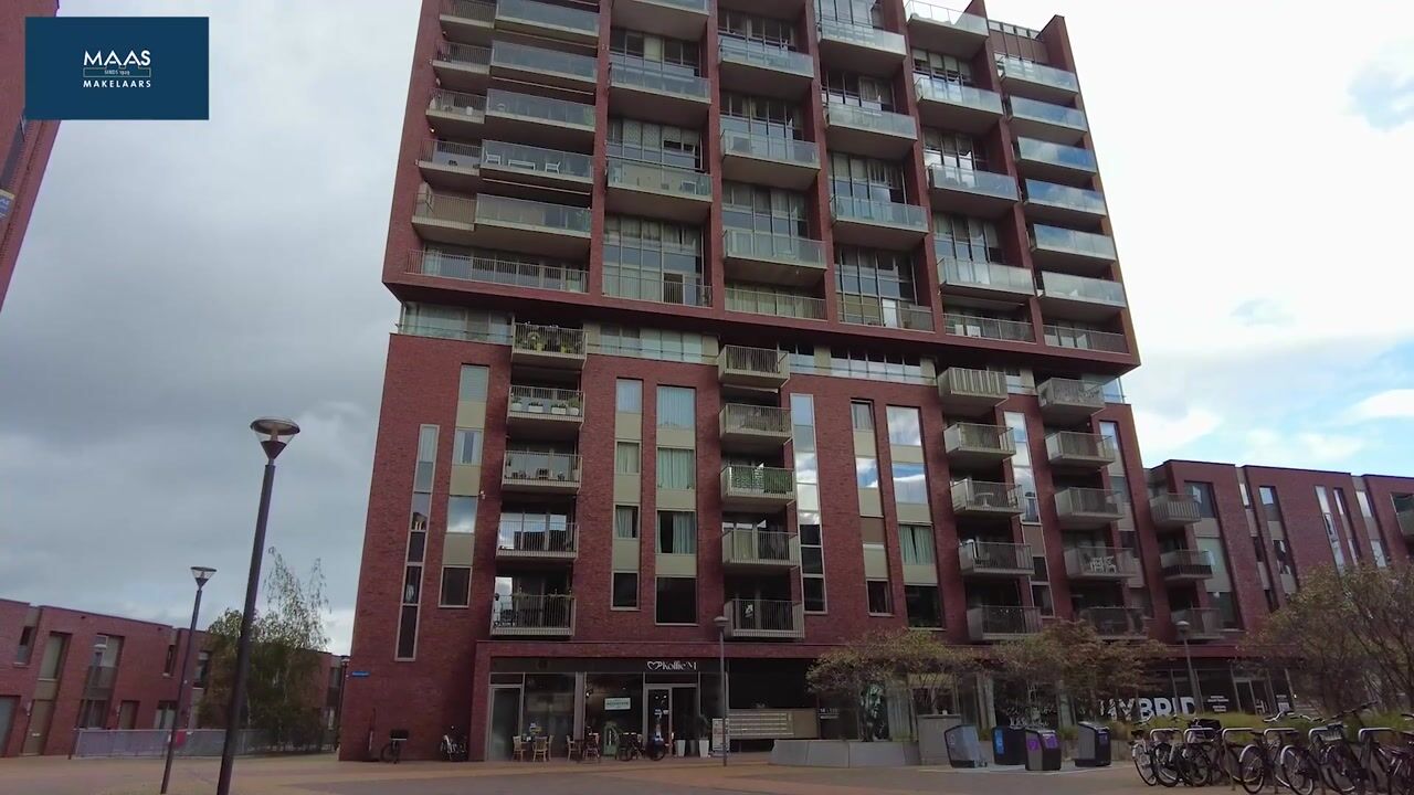 Video of Meerzand 78