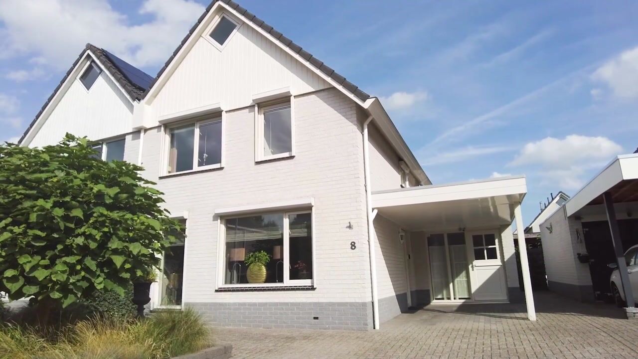 Video van Grauwe Gans 8
