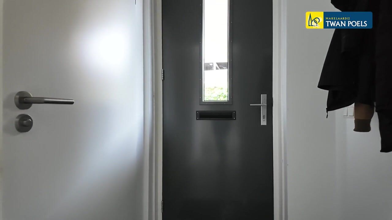 Video van Tulpenboom 2