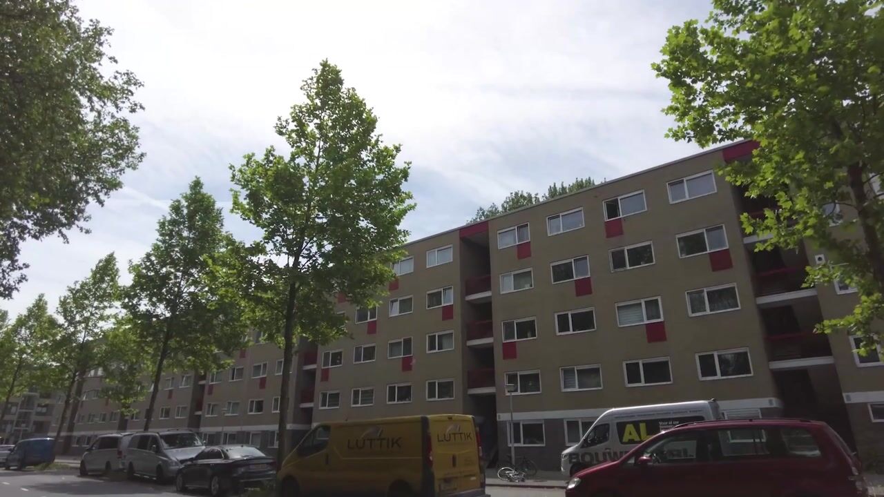 Video van Poelenburg 17