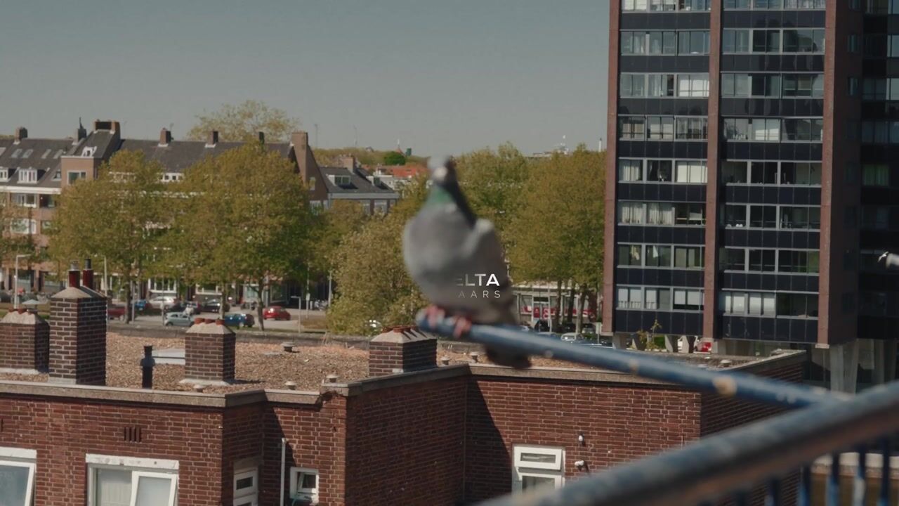 Video van Pieter de Hoochweg 9-E