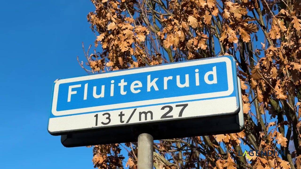 Video van Fluitekruid 20