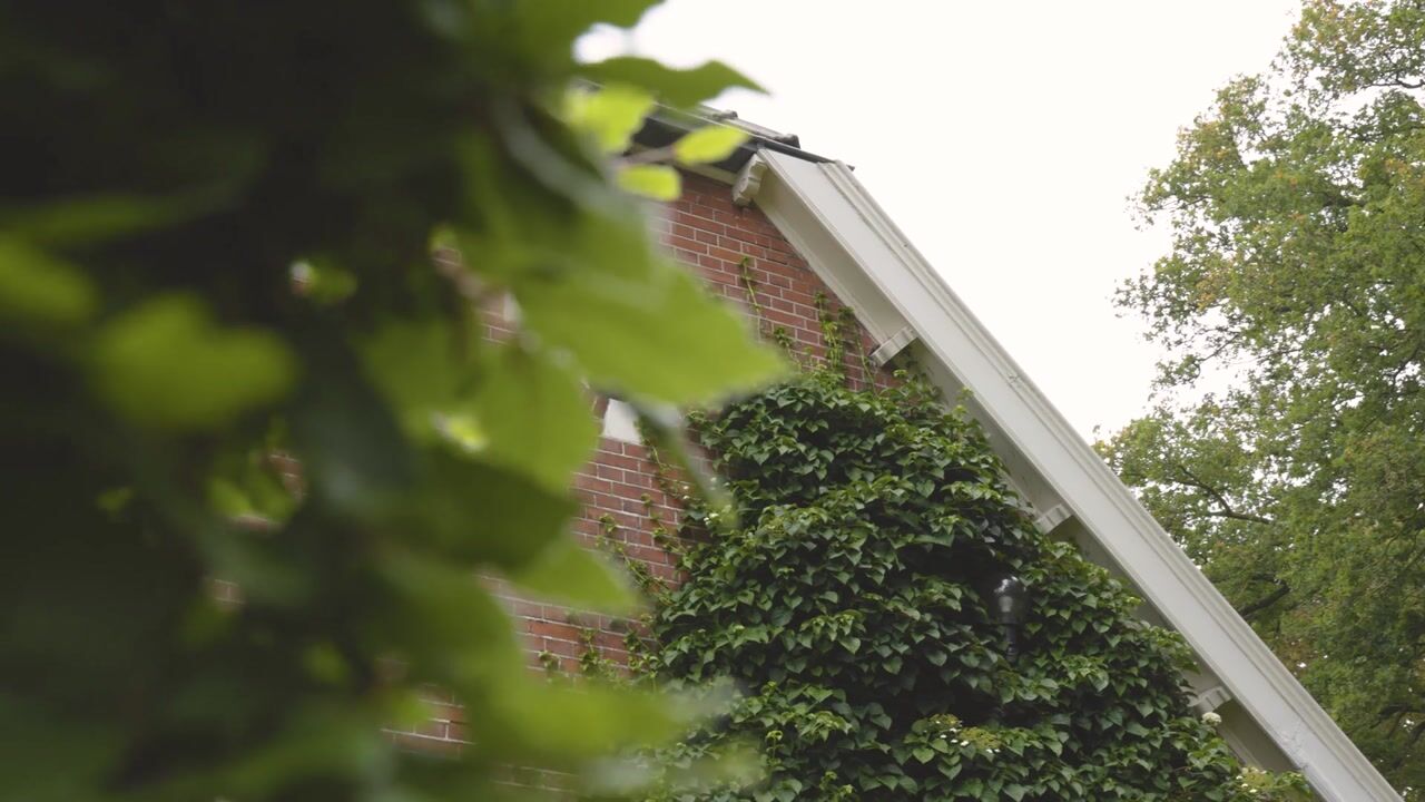 Video van Hasseltweg 29