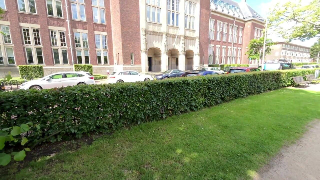 Video van Oostplantsoen 100