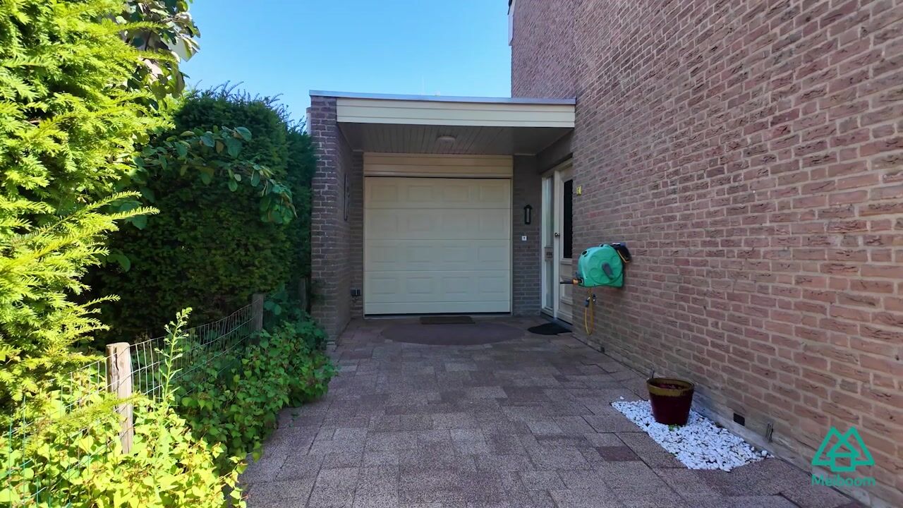 Video of Kuringen 19