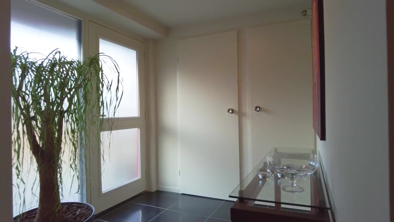 Video van Ringoven 1