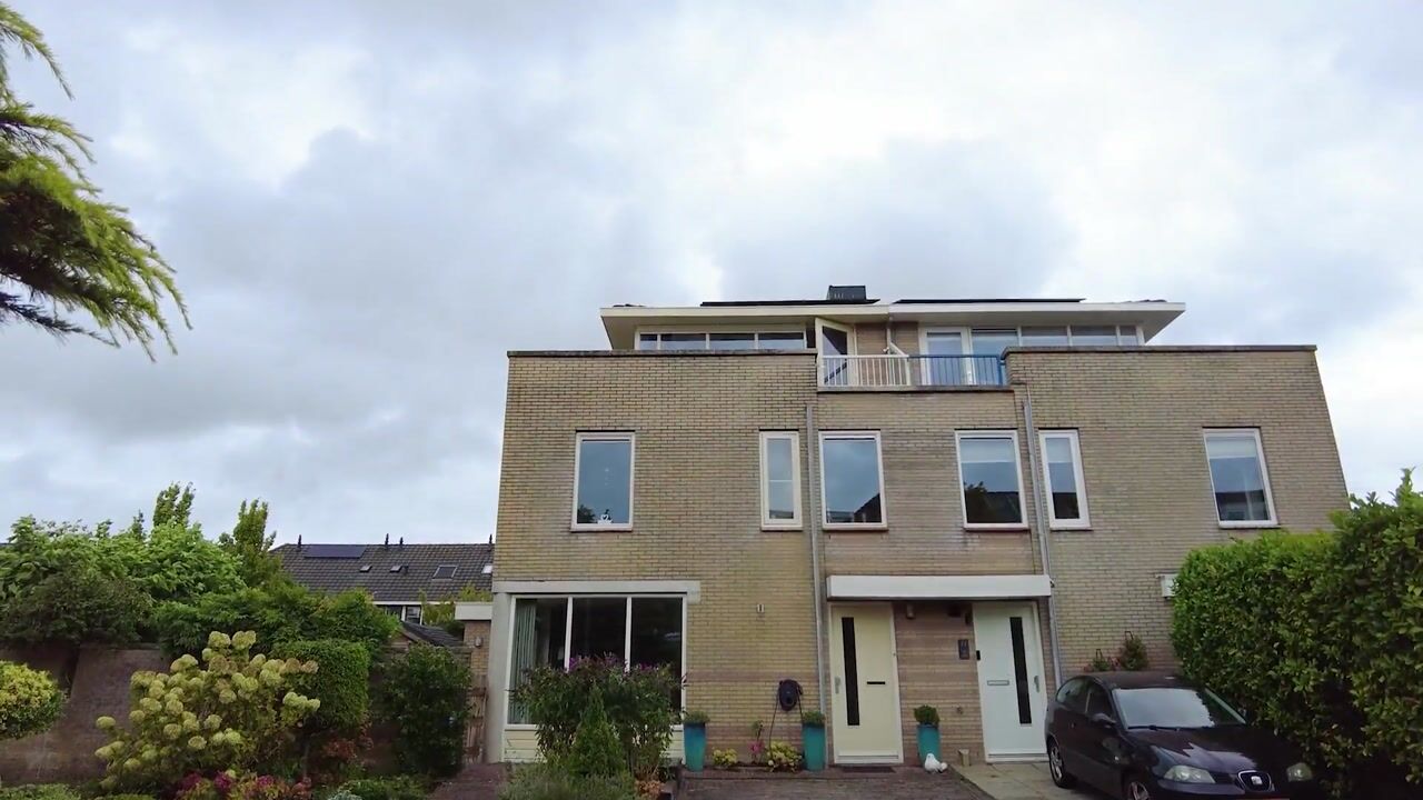 Video van Witkopeend 9