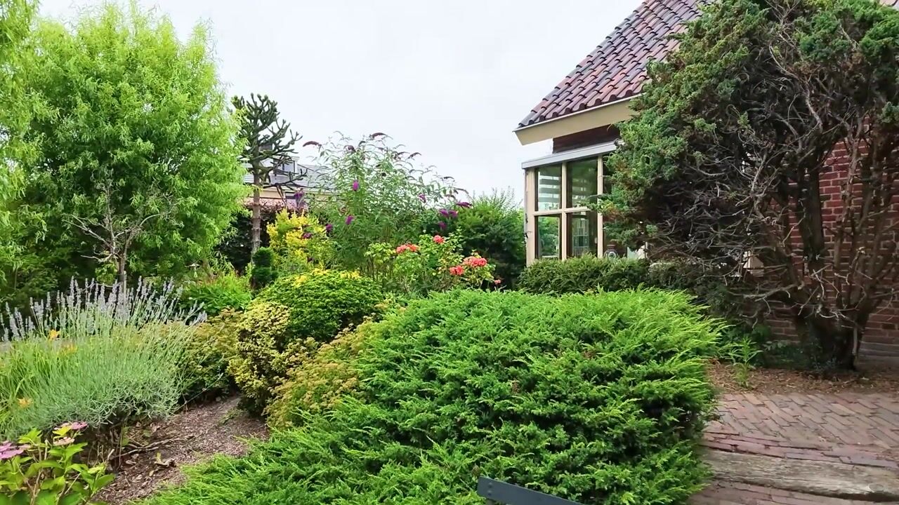 Video van Druivenlaan 4