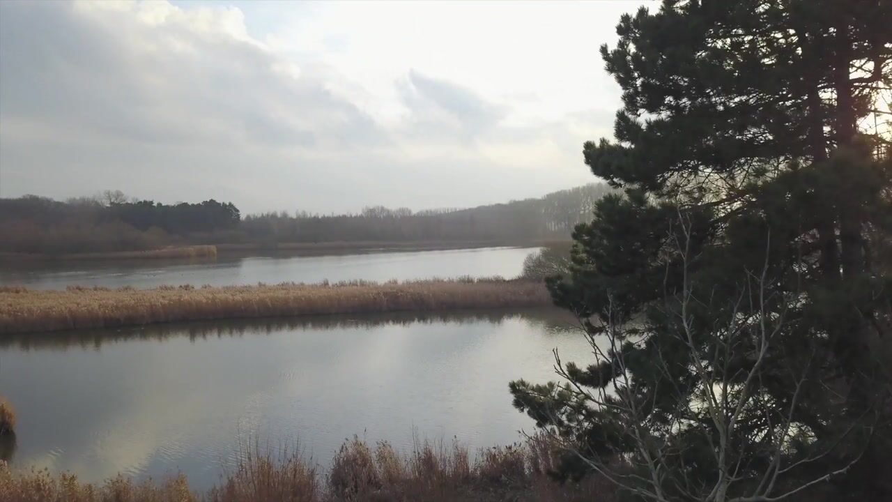 Video van Sasdijk 31