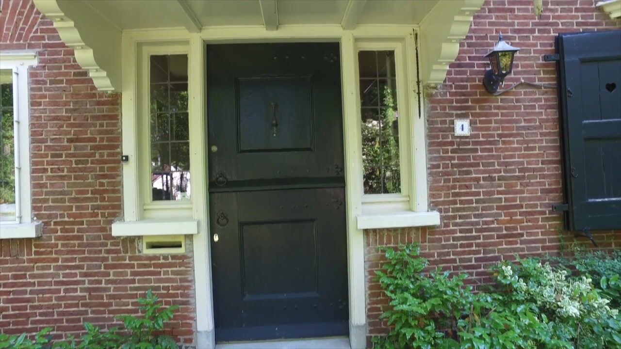 Video van Rossinilaan 4