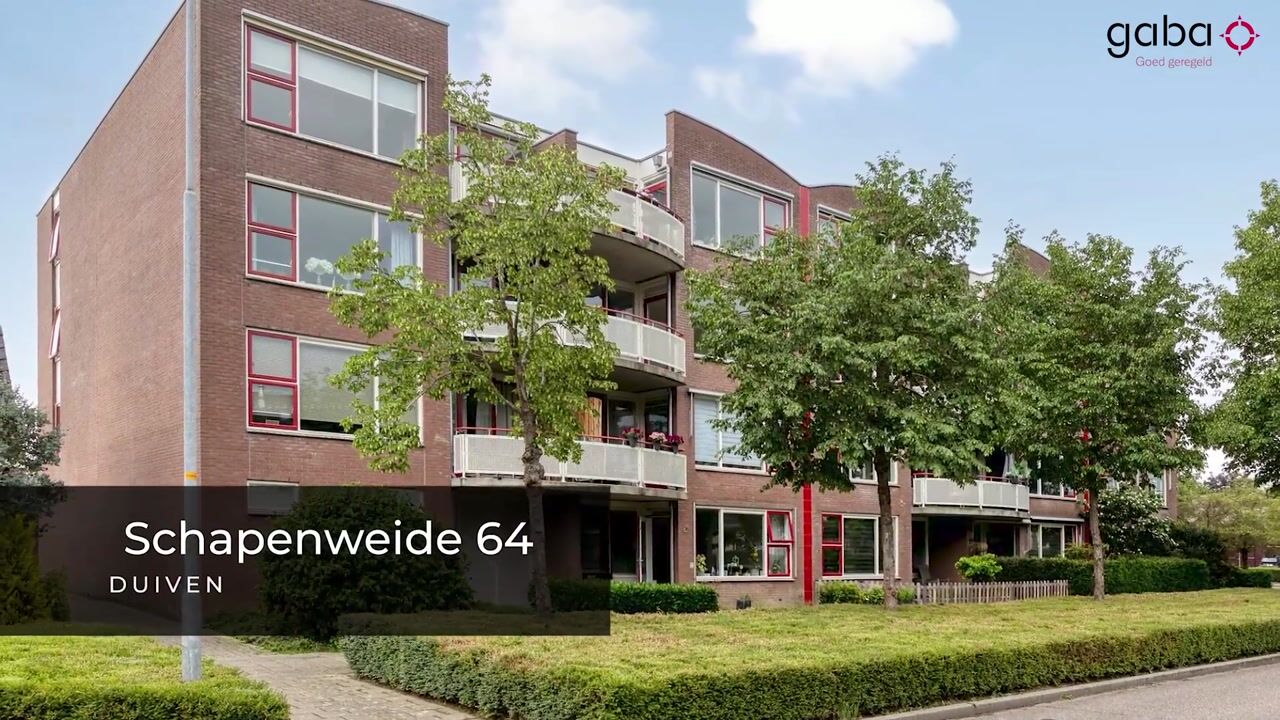 Video van Schapenweide 64