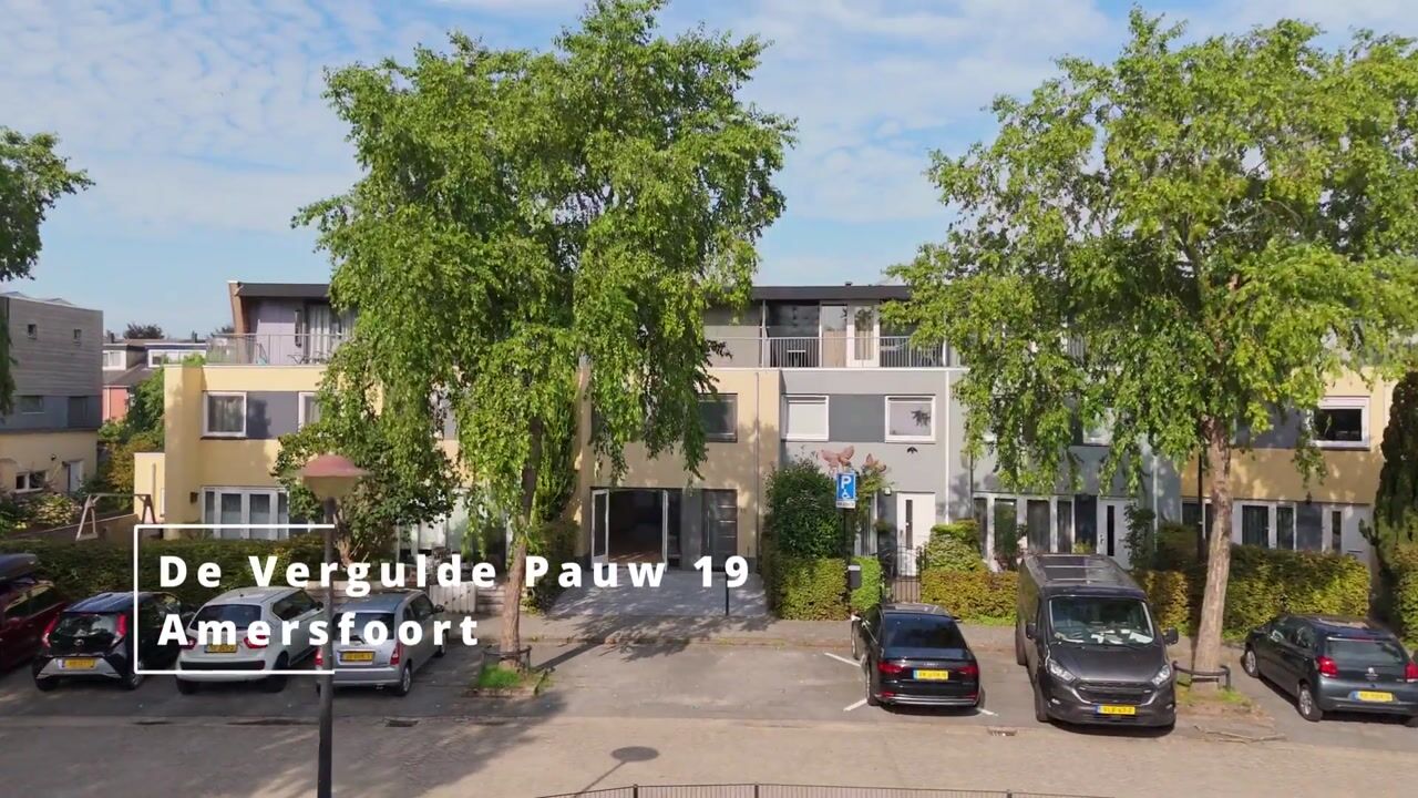 Video of De Vergulde Pauw 19