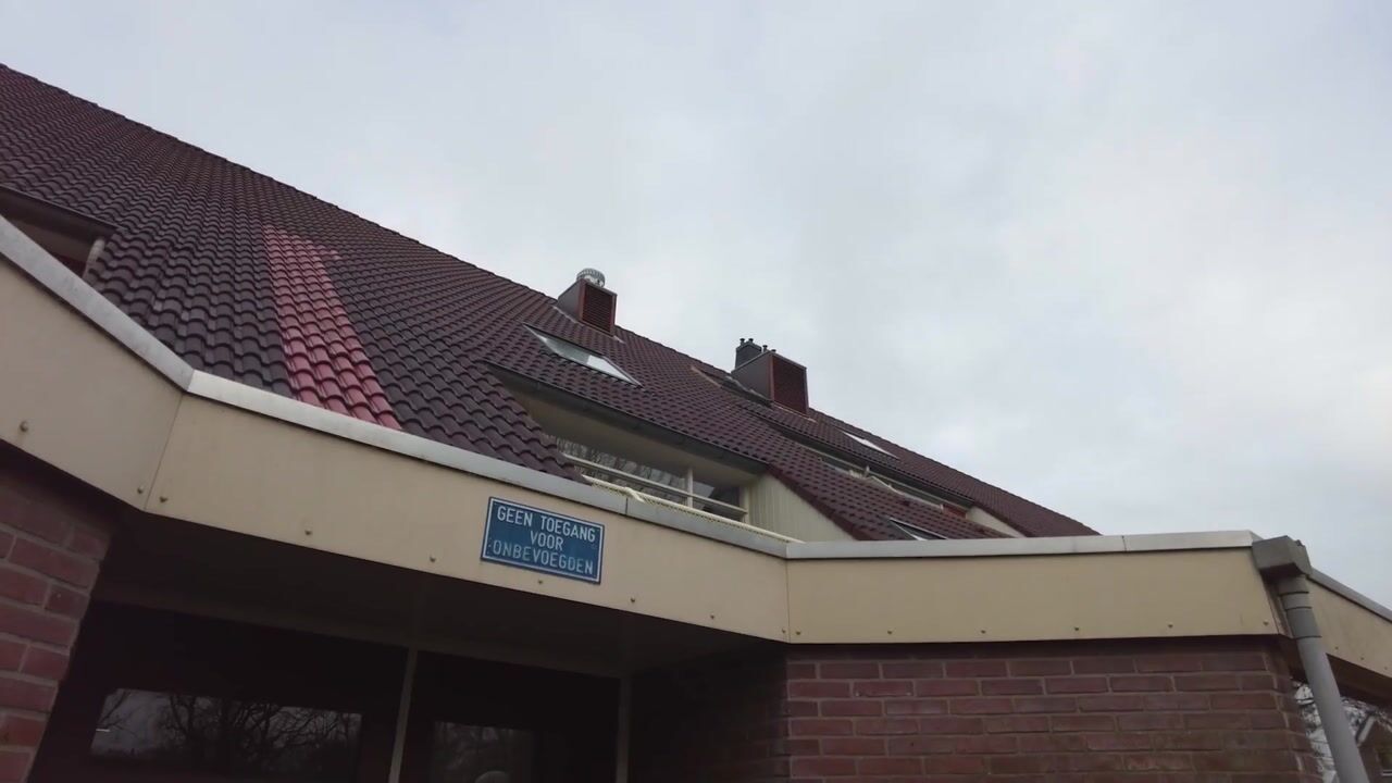 Video of Hoogkamp 74