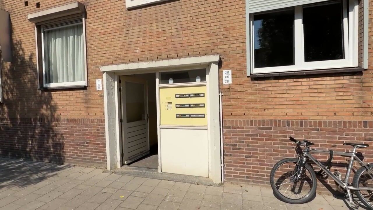 Video van Singel 237