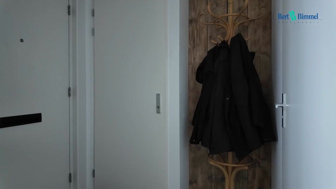 Video van Singel 428