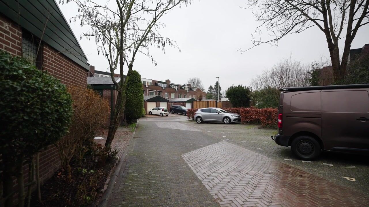 Video van Fluitekruidzoom 8