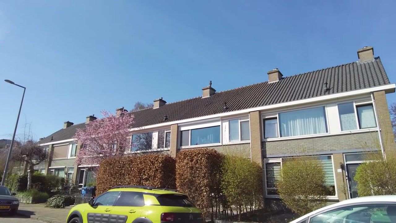 Video of Kruipbrem 54