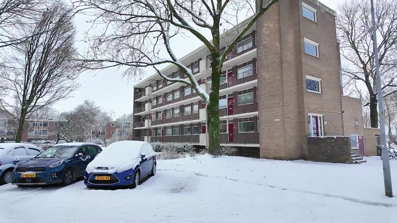 Video van Groen van Prinstererstraat 103