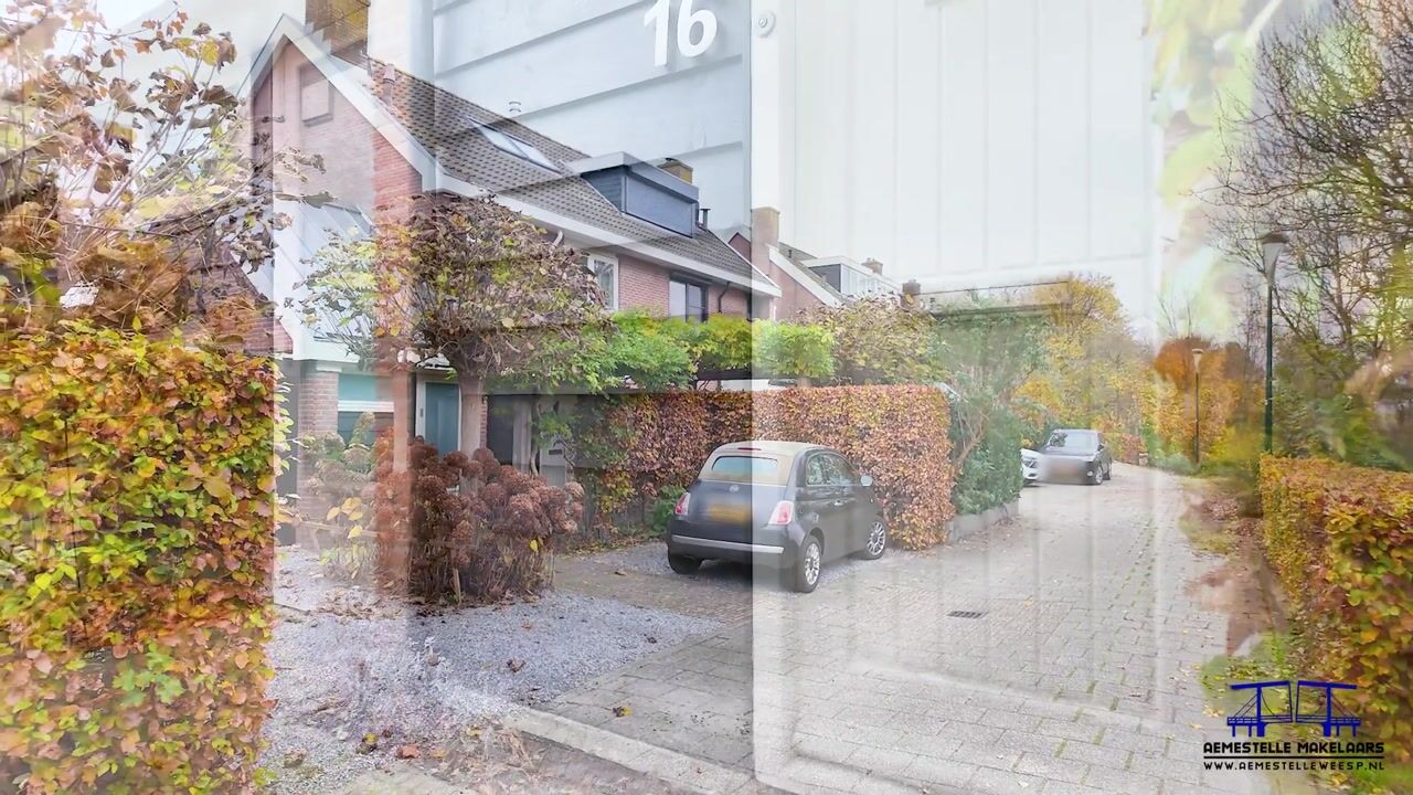 Video of Petersburg 16