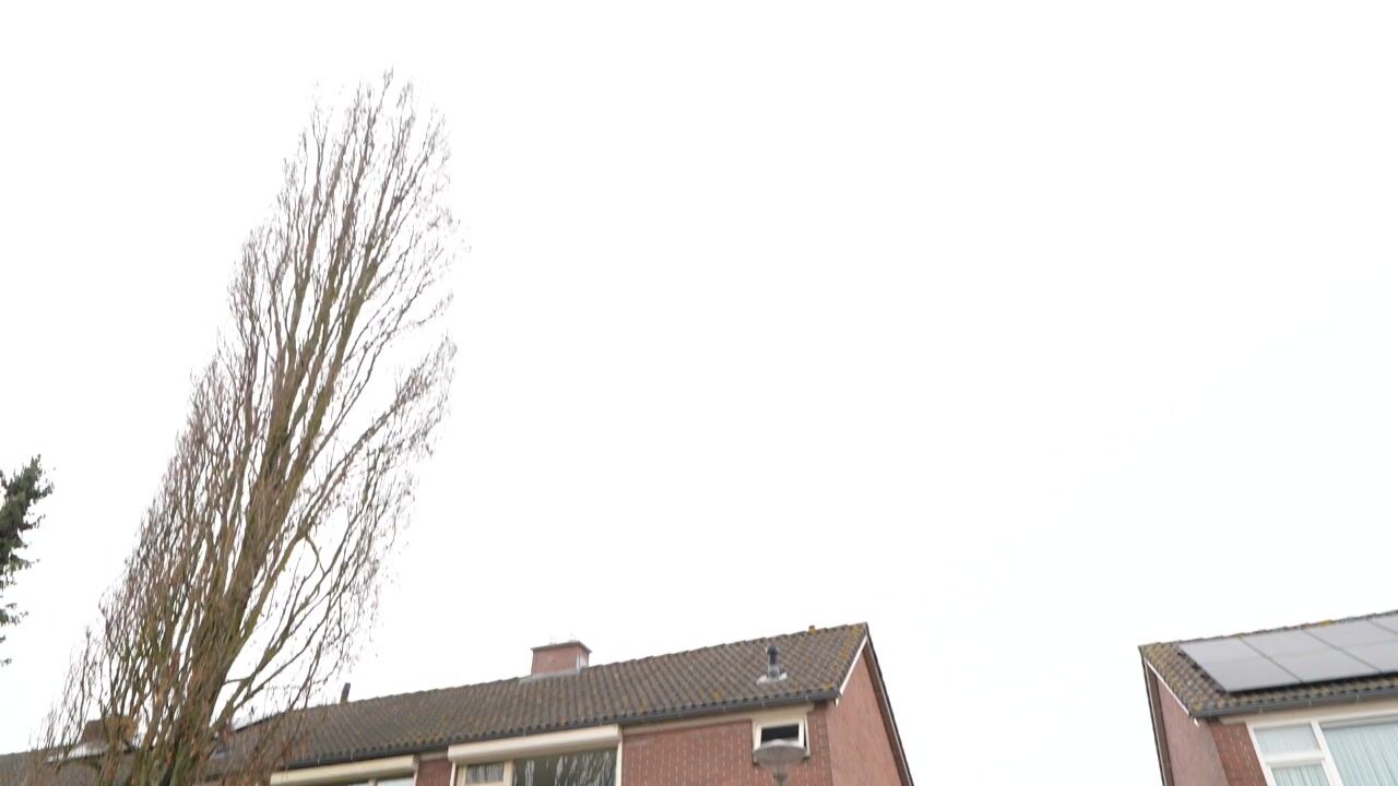 Video of Boucquetstraat 13