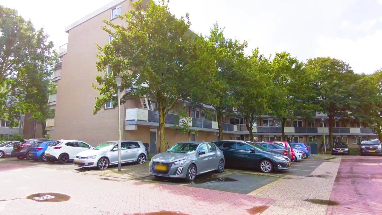 Video van Hofstraweg 204